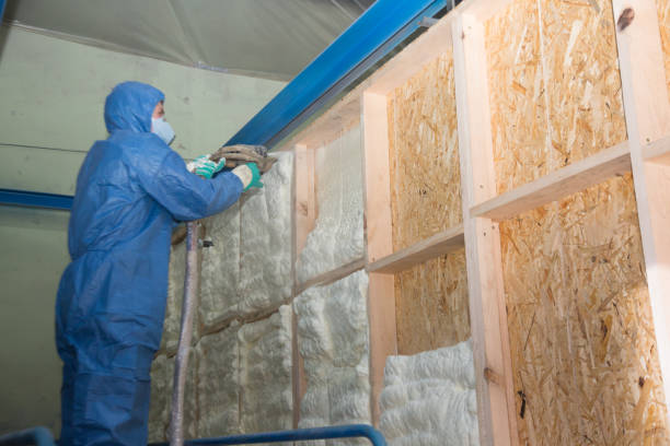 Best Insulation Contractors for Homes  in Rock Springs, NM